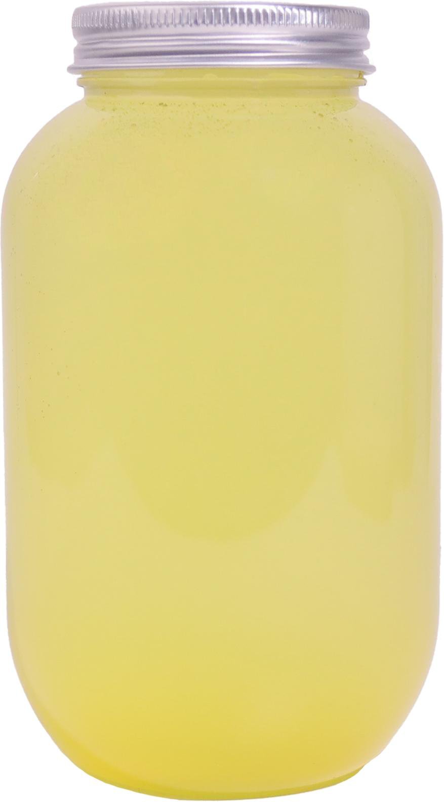 Xicha Bottle 53-500ml