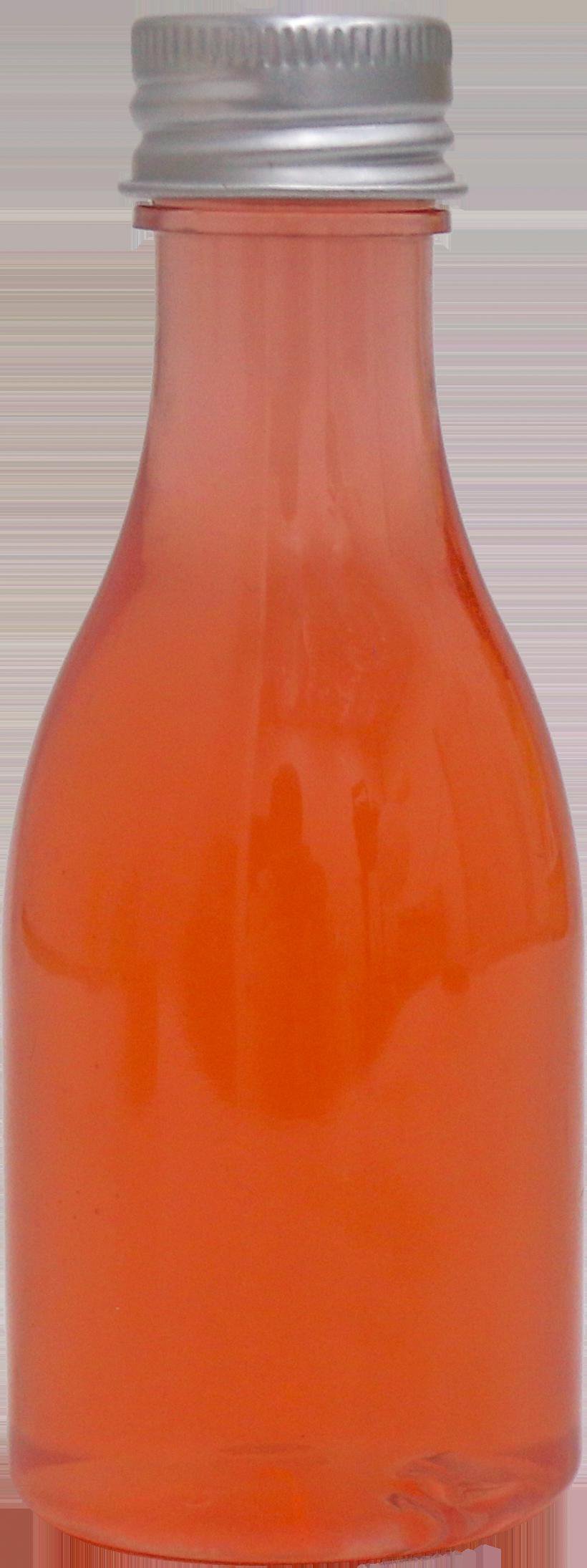 Model 24 24-100ml