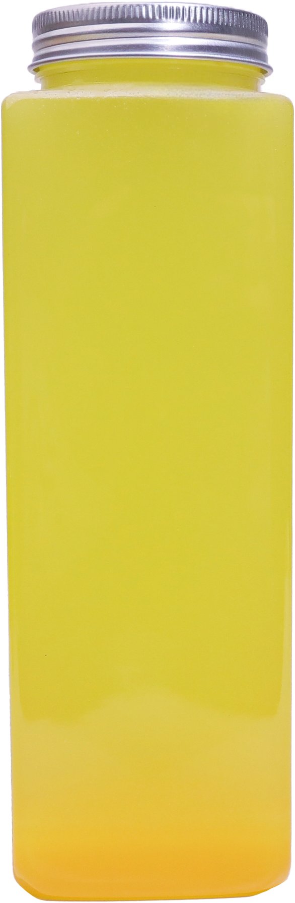 Model 53F 53-650ml